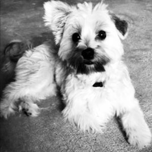 Meet your Posher, Kaydi